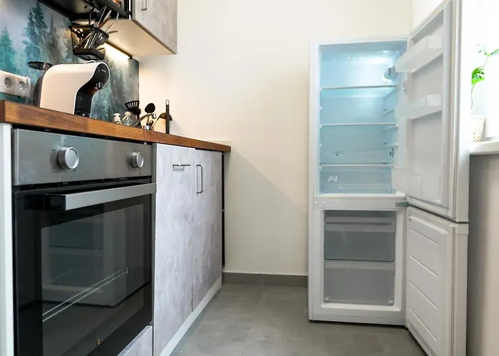 Apartment Modernes Im Zentrum 4 Personen *